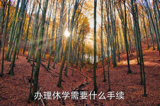 休學(xué)需要什么手續(xù)，辦休學(xué)需要什么
