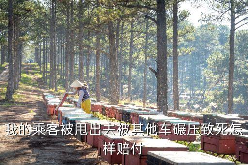 我的乘客被甩出去被其他車碾壓致死怎樣賠付