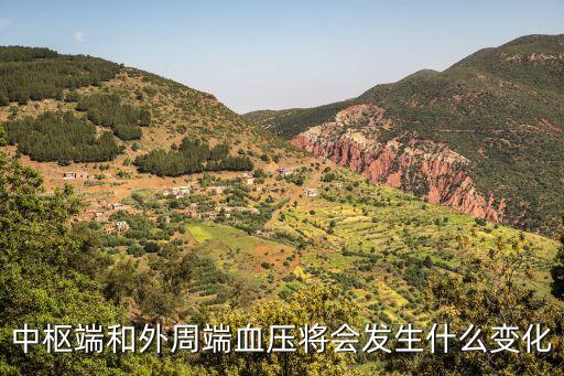 周端，神經(jīng)中的外周端是什么
