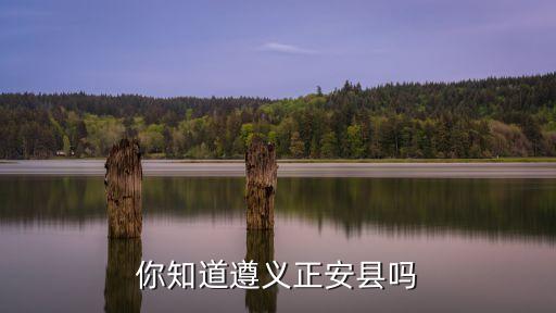 宋霖，你知道遵義正安縣嗎