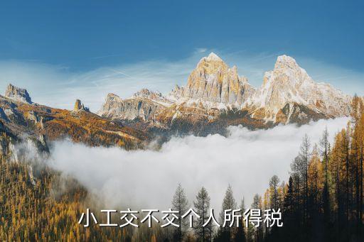 新稅法，新企業(yè)所得稅稅法實施時間