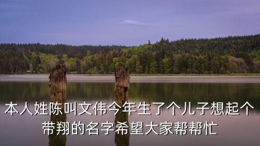 陳天翔，本人姓陳叫文偉今年生了個(gè)兒子想起個(gè)帶翔的名字希望大家?guī)蛶兔?/></a></span><span id=