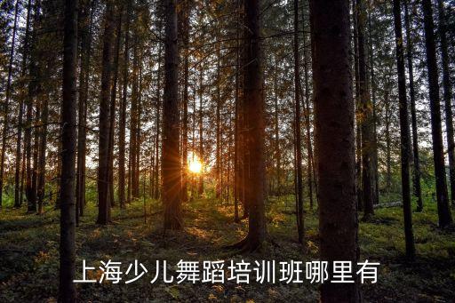 趙春霞，長葛哪里有少兒舞蹈培訓班