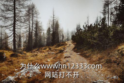 為什么wwwhn12333com 網(wǎng)站打不開