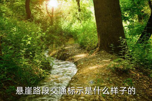 臨崖路標志，這個交通標志是什么意思