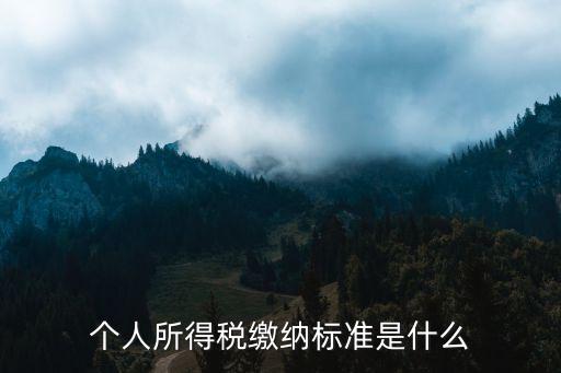 個(gè)人所得稅繳納標(biāo)準(zhǔn)是什么