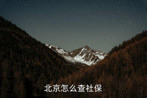 北京怎么查社保