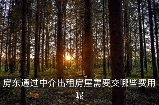 房東通過中介出租房屋需要交哪些費(fèi)用呢