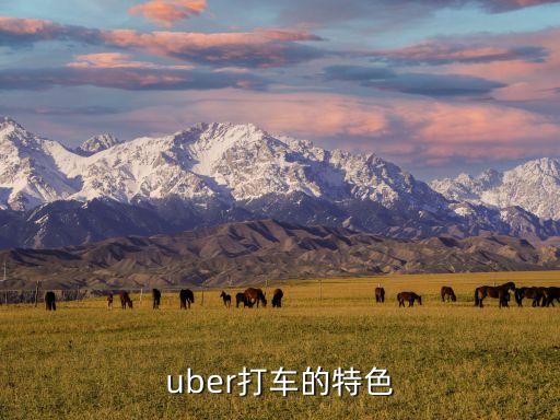 uber打車，Uber打車司機(jī)注冊條件