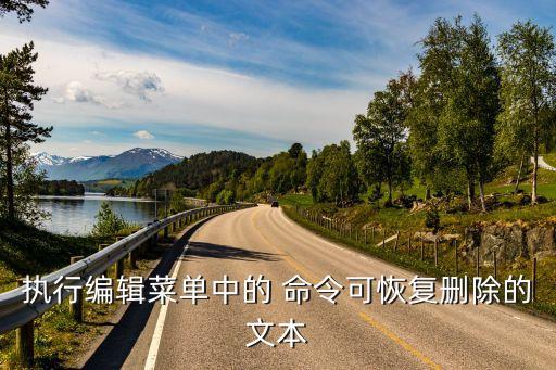 執(zhí)行編輯，執(zhí)行編輯菜單中的 命令可恢復(fù)刪除的文本