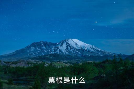 票根是什么