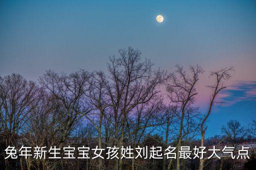 兔年新生寶寶女孩姓劉起名最好大氣點(diǎn)