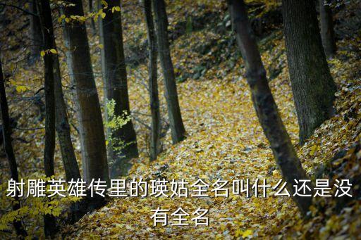 射雕英雄傳里的瑛姑全名叫什么還是沒有全名