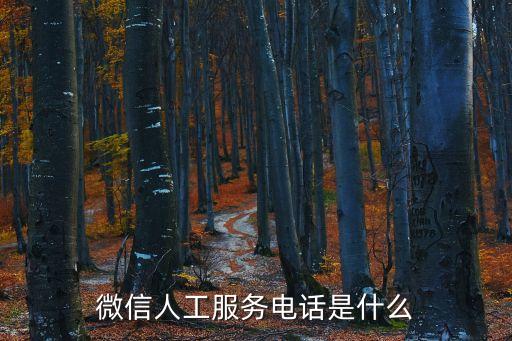 微信投訴電話，微信客服怎么投訴舉報