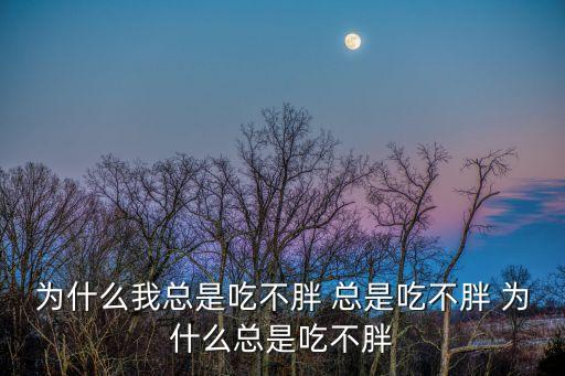 楊志宏，我的名字是什么啊