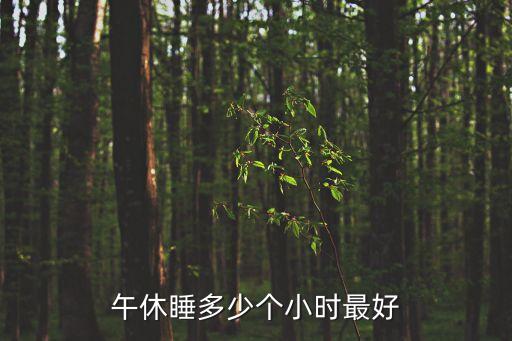 午休時間，午休睡多少個小時最好