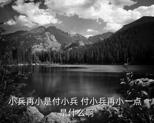 小兵再小是付小兵 付小兵再小一點 是什么啊