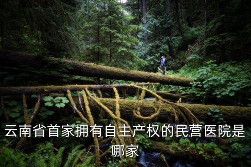 云南省首家擁有自主產權的民營醫(yī)院是哪家
