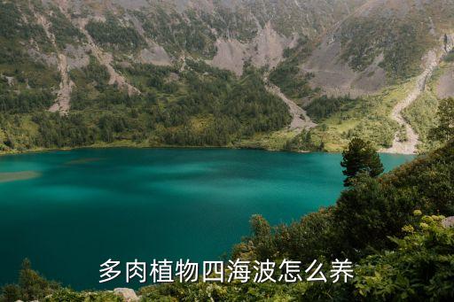 四海波，多肉植物四海波怎么養(yǎng)