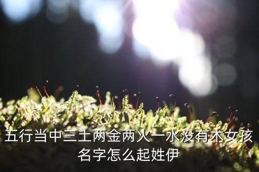 五行當(dāng)中三土兩金兩火一水沒有木女孩名字怎么起姓伊
