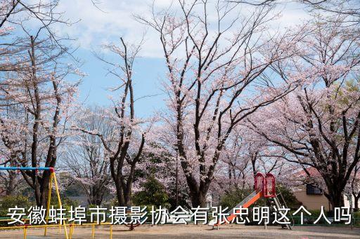 張忠明，太原市萬柏林區(qū)沙溝村村長是誰