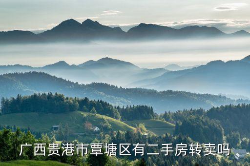 廣西貴港市覃塘區(qū)有二手房轉(zhuǎn)賣嗎