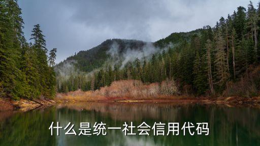 什么是統(tǒng)一社會(huì)信用代碼