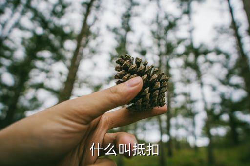 抵扣，抵扣是怎理解的