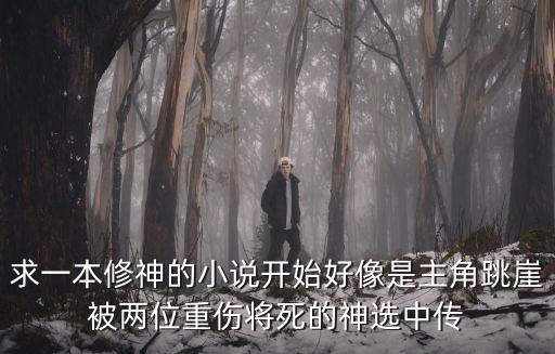 李芝蘭，李芝娜姐妹最誰