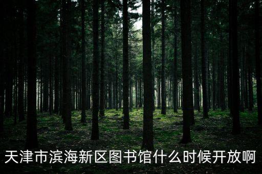 天津市濱海新區(qū)圖書館什么時候開放啊
