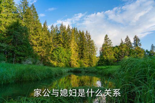 家公與媳婦是什么關(guān)系