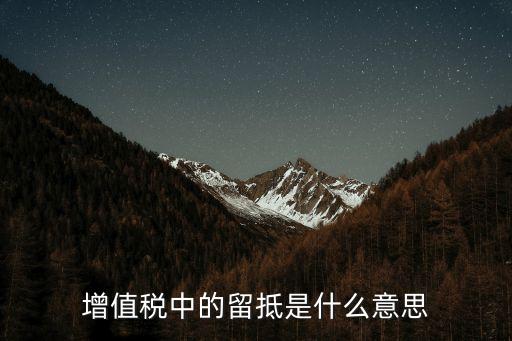 增值稅中的留抵是什么意思