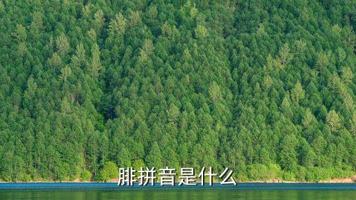 腓拼音是什么