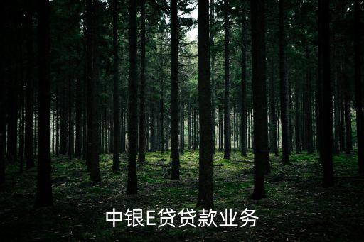 中銀e分期，我這中銀e貸款還能用嗎