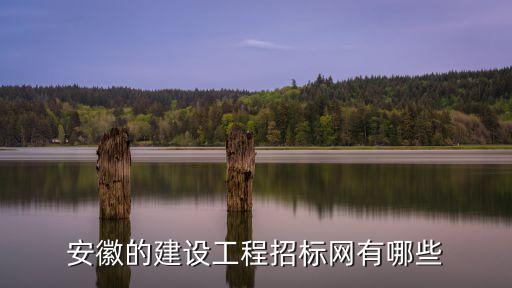 安徽省招投標，安徽有沒有信息比較全面的招標網(wǎng)站