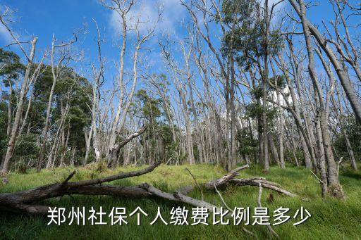 鄭州保險(xiǎn)，鄭州都有哪些保險(xiǎn)公司