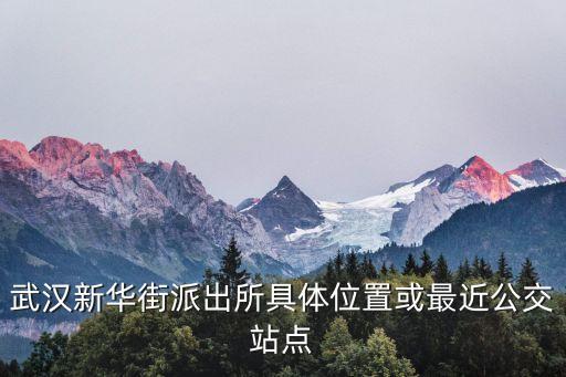 新華路派出所，武漢新華街派出所具體位置或最近公交站點