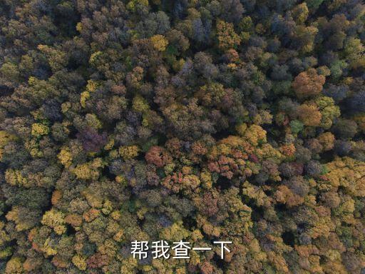 幫我查一下，請幫我查一下