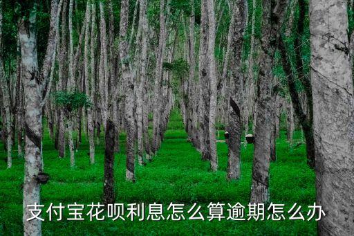 支付寶花唄利息怎么算逾期怎么辦