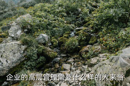 高層管理，CEO是否就是高層管理人員