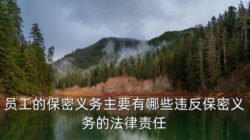 保密法律法規(guī)，商業(yè)秘密保密協(xié)議法律法規(guī)依據(jù)有哪些
