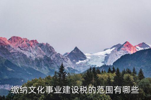 文化事業(yè)建設(shè)稅，文化事業(yè)建設(shè)稅計(jì)稅依據(jù)