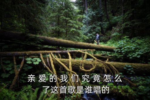 親 愛 的 我 們 究 竟 怎 么 了這首歌是誰唱的