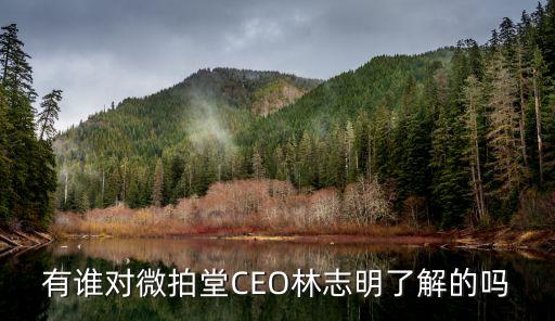 林志明，有誰對微拍堂CEO林志明了解的嗎