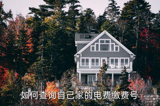 如何查詢自己家的電費(fèi)繳費(fèi)號