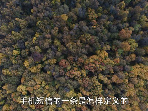手機(jī)短信的一條是怎樣定義的