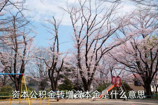 資本公積轉(zhuǎn)增資本，資本公積金轉(zhuǎn)增資本金是什么意思