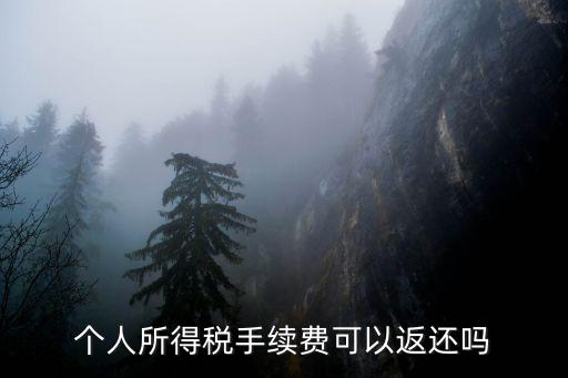 個(gè)人所得稅手續(xù)費(fèi)可以返還嗎
