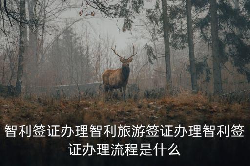 智利簽證辦理智利旅游簽證辦理智利簽證辦理流程是什么