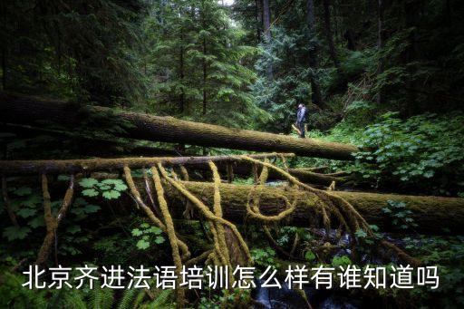 齊進(jìn)，北京齊進(jìn)法語(yǔ)怎么樣